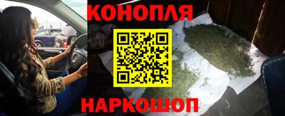 прущие крисы Малгобек