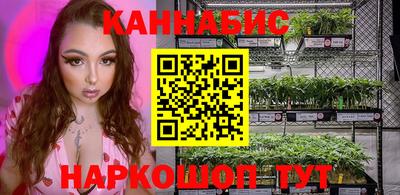 прущие крисы Малгобек