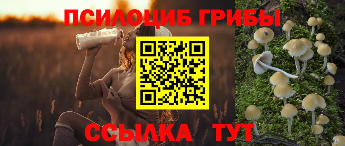 Фрязино  Псилоцибиновые грибы Cubensis  Галлюциногенные грибы прущие грибы  Вход с VPN 